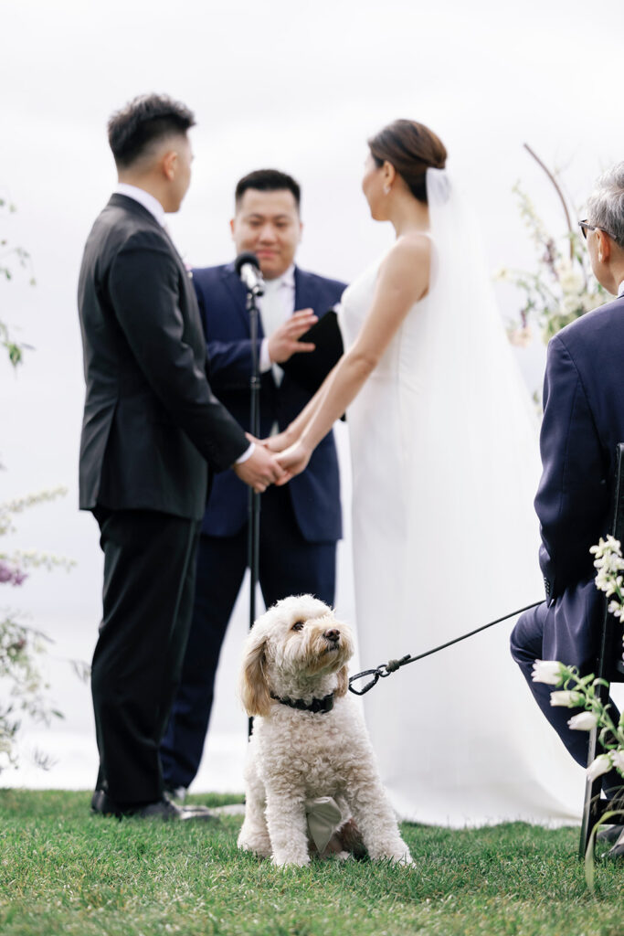 saying I do at seaside wedding