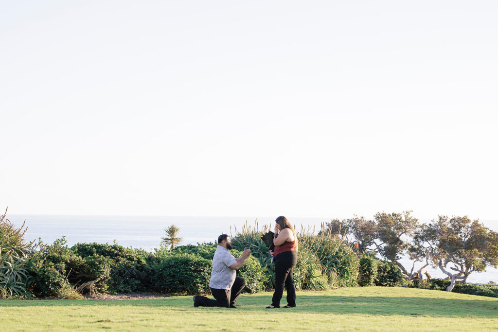 A surprise proposal on a grassy hillside with the ocean as a backdrop in Orange County.